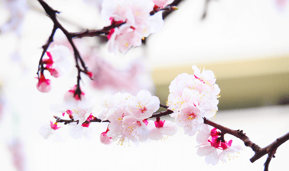 子育て世代も働きやすい